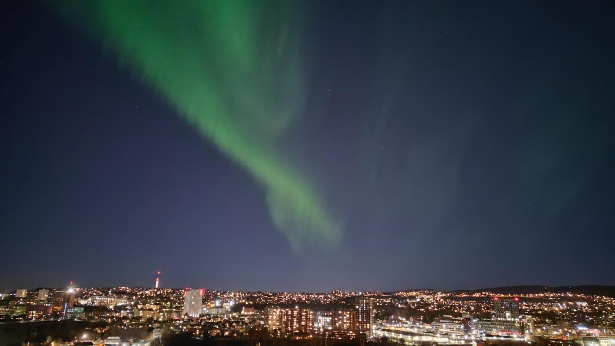 Adorable 1-Bedroom Apartment With A Fantastic View - Free Parking Trondheim Exterior foto